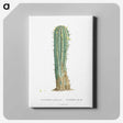 1-9_Histoire-des-Plantes-Grasses_canvas