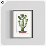 1-9_Hortus-Romanus-Botanical-Plates_blk