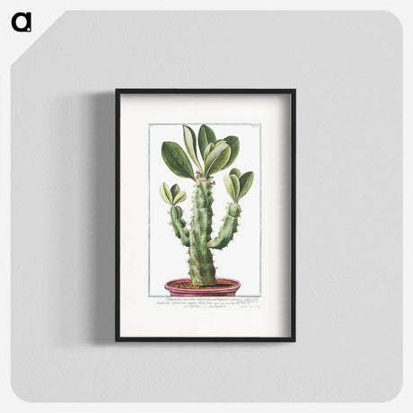 1-9_Hortus-Romanus-Botanical-Plates_blk