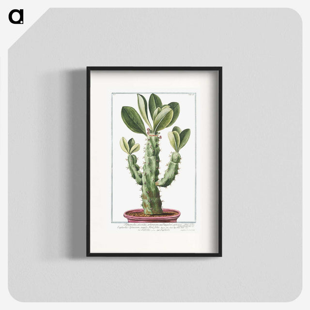 1-9_Hortus-Romanus-Botanical-Plates_blk