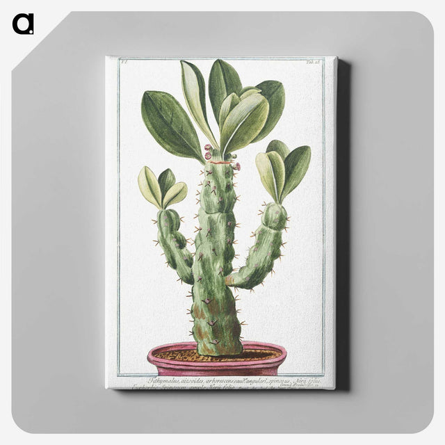 1-9_Hortus-Romanus-Botanical-Plates_canvas
