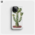 1-9_Hortus-Romanus-Botanical-Plates_phone