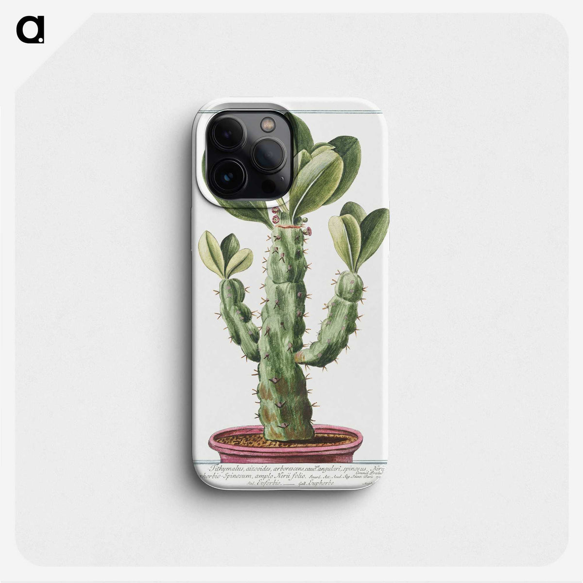 1-9_Hortus-Romanus-Botanical-Plates_phone