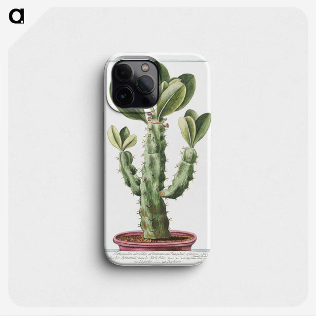 1-9_Hortus-Romanus-Botanical-Plates_phone