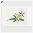 1-9_Hu-Zhengyan_picture