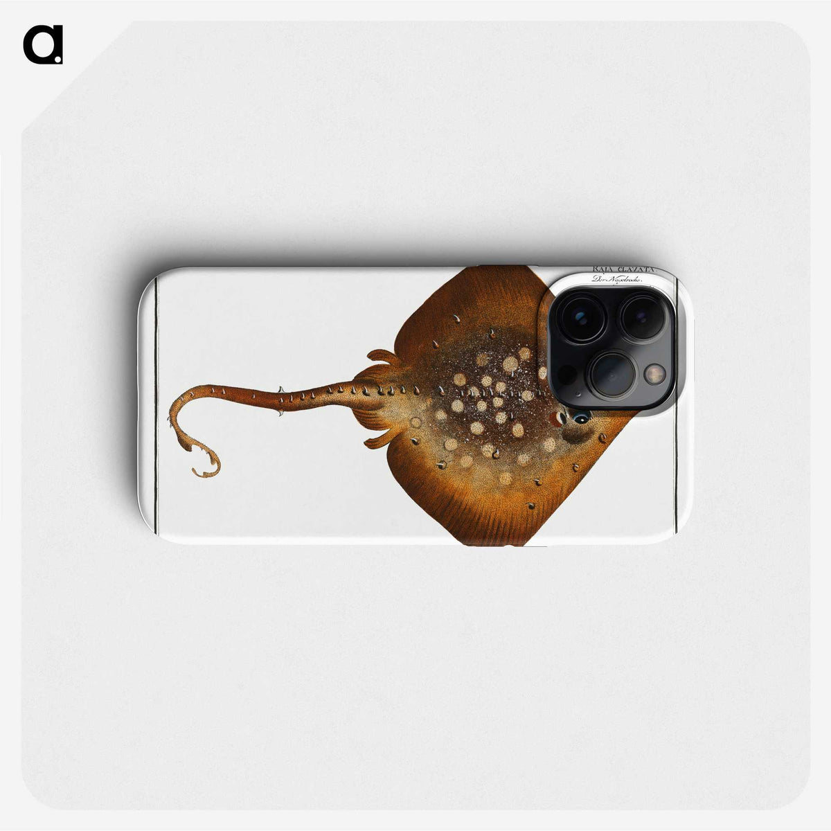 1-9_Ichtyologie-ou-Histoire-naturelle_phone