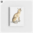 1-9_Indian-Zoology_memo