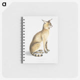 1-9_Indian-Zoology_memo