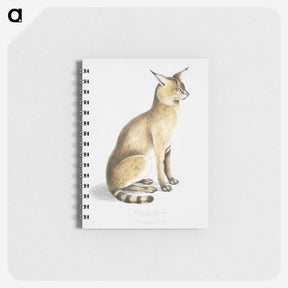 1-9_Indian-Zoology_memo