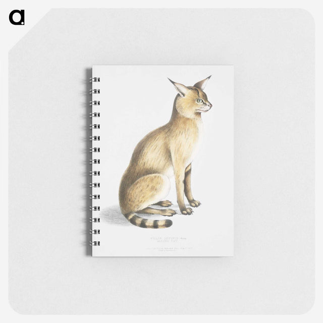 1-9_Indian-Zoology_memo