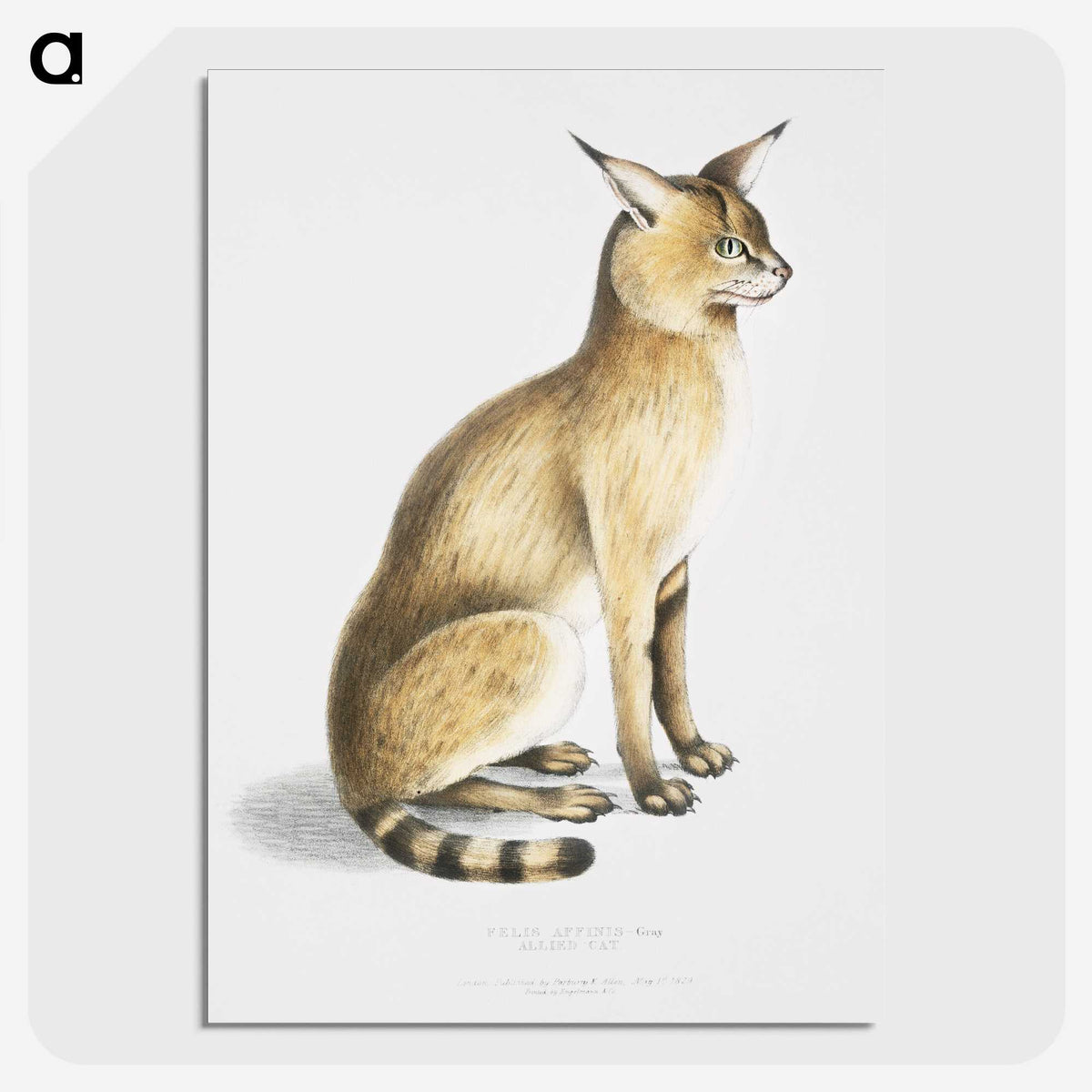 1-9_Indian-Zoology_picture-crop