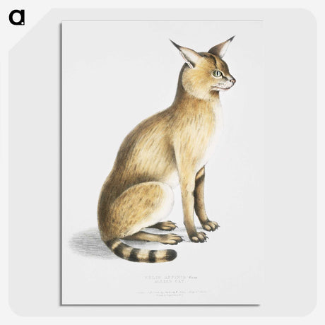 1-9_Indian-Zoology_picture-crop