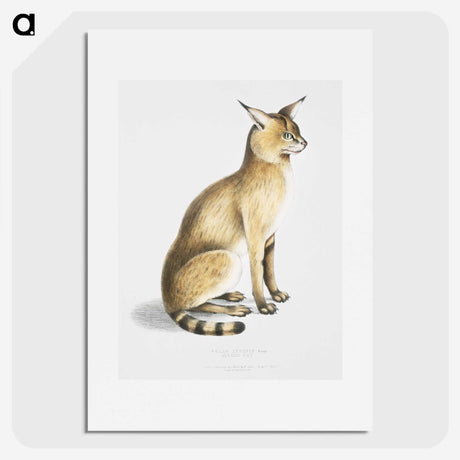 1-9_Indian-Zoology_picture