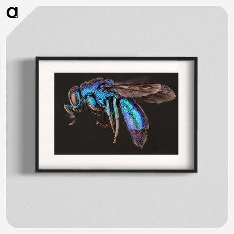 1-9_Insects-Unlocked-Project_blk
