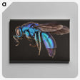 1-9_Insects-Unlocked-Project_canvas