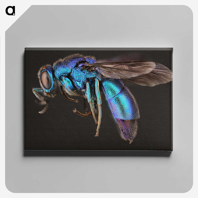 1-9_Insects-Unlocked-Project_canvas