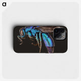 1-9_Insects-Unlocked-Project_phone
