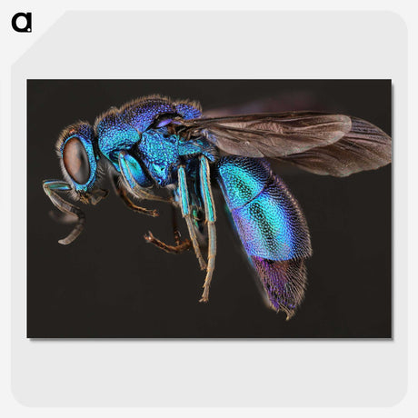 1-9_Insects-Unlocked-Project_picture-crop