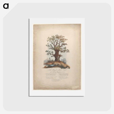 アートポストカード-The Royal Allied Oak and Self-Created Mushroom Kings
 - ジェームス ヒース Postcard.