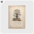 1-9_James-Heath_postcard