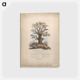 アートポストカード-The Royal Allied Oak and Self-Created Mushroom Kings
 - ジェームス ヒース Postcard.