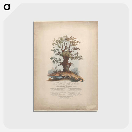 アートポストカード-The Royal Allied Oak and Self-Created Mushroom Kings
 - ジェームス ヒース Postcard.