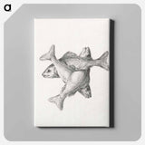 アートパネル-Three fishes - ジャン ベルナール Canvas.