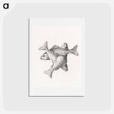 アートポストカード-Three fishes - ジャン ベルナール Postcard.