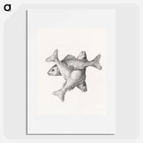 Three fishes - ジャン ベルナール Poster.