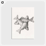 アートポストカード-Three fishes - ジャン ベルナール Postcard.
