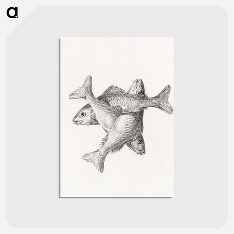 アートポストカード-Three fishes - ジャン ベルナール Postcard.