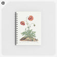 1-9_John-Edwards_memo
