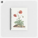 1-9_John-Edwards_memo