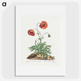 1-9_John-Edwards_picture