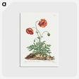 1-9_John-Edwards_postcard