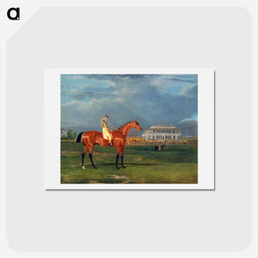 アートポストカード-Memnon with William Scott Up
 - ジョン フレデリック ヘリング Postcard.