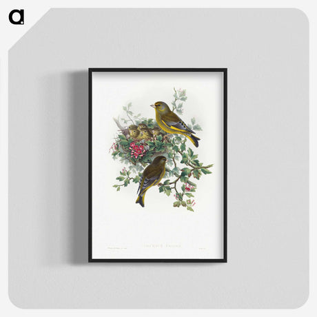 1-9_John-Gould_blk-crop