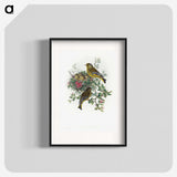 1-9_John-Gould_blk