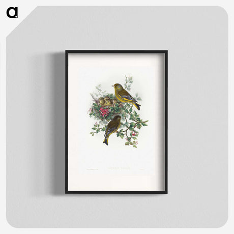 1-9_John-Gould_blk