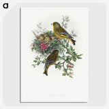 1-9_John-Gould_picture-crop