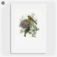 1-9_John-Gould_picture