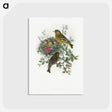 1-9_John-Gould_postcard