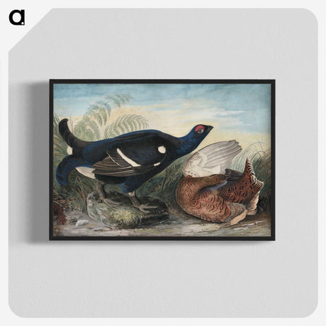 1-9_John-James-Audubon_blk-crop