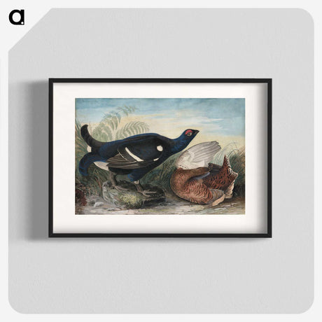 1-9_John-James-Audubon_blk