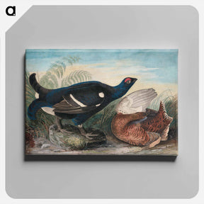 アートパネル-English Black Cocks
 - ジョン ジェームス オーデュボン Canvas.