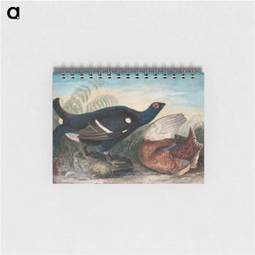 アートメモ帳-English Black Cocks
 - ジョン ジェームス オーデュボン Memo.