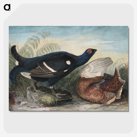 1-9_John-James-Audubon_picture-crop