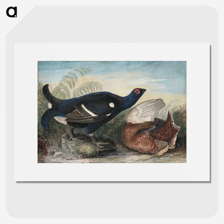 1-9_John-James-Audubon_picture