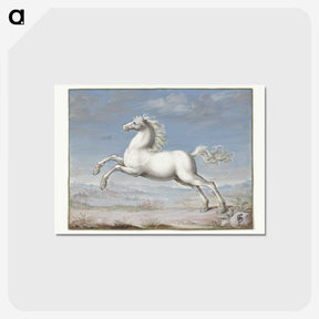 1-9_Joris-Hoefnagel_postcard