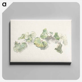 アートパネル-Studie van bladeren
 - ジョセフス アウグストゥス クニップ Canvas.
